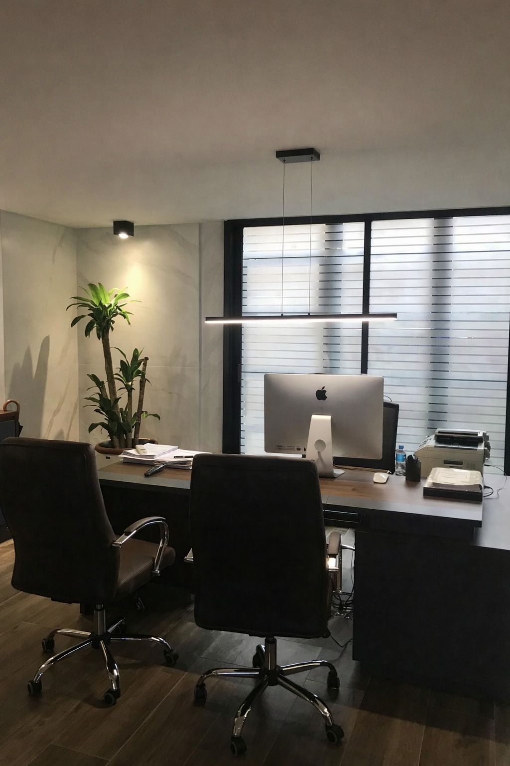 Descripción de la imagen